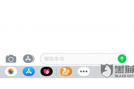 工作总结催收行业：回顾与展望