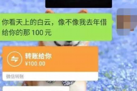 勐海要债公司电话号码查询:解决债务问题的便捷途径 勐海要债公司电话号码查询:解决债务问题的便捷途径