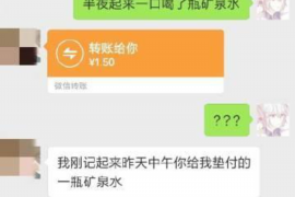 催收过年期间催收：策略与注意事项
