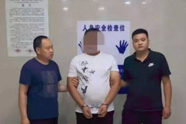 不良资产上门催收电话：法律边界与应对策略