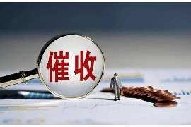 丈夫和女婿要账：家庭财务管理中的智慧与策略