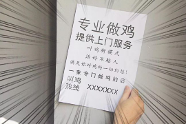 浉河清债公司收费标准：透明化债务解决方案