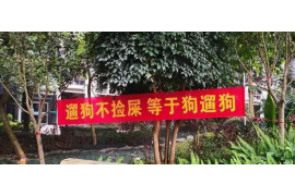 催收说我恶意透支：了解真相，维护自身权益