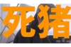 骗子要账号给打钱：揭秘网络诈骗新手段