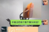 陪朋友要账：一场关于信任与勇气的较量