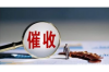 邢台威县要账公司：债务催收的本地力量